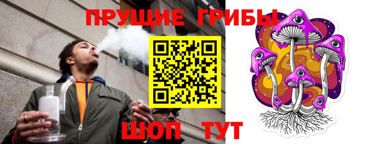 Кувандык  Псилоцибиновые грибы Psilocybine cubensis  Вход с VPN 